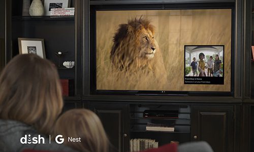 Dish Supports Google Nest