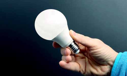 Man holding lightbulb to emulate subject of the WELL IALD Lighting Concept.