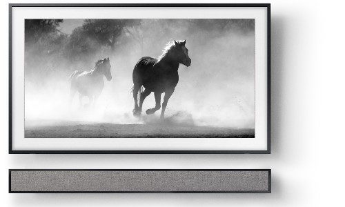 Leon Speakers FrameBar Samsung The Frame