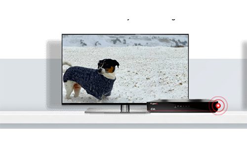 Dish, Universal Electronics 2020 quarterly results
