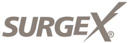 LSE_surgex_logo