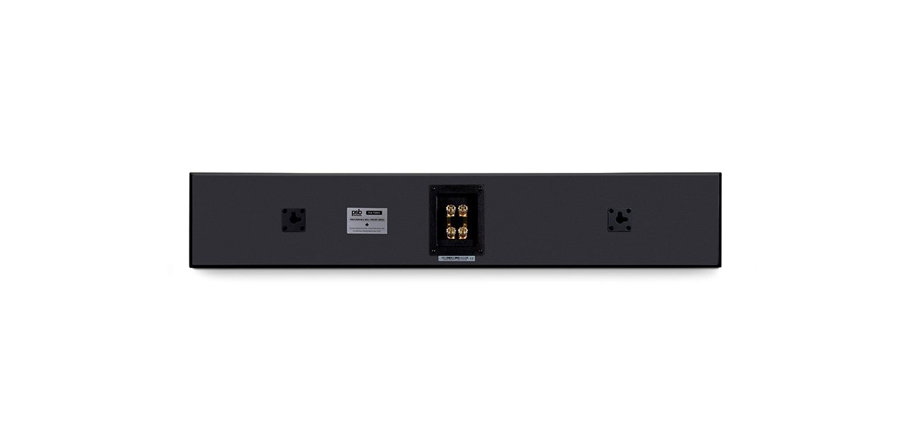 PSB PWM2 rear panel