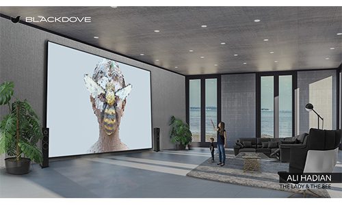 Blackdove, LG Electronics USA