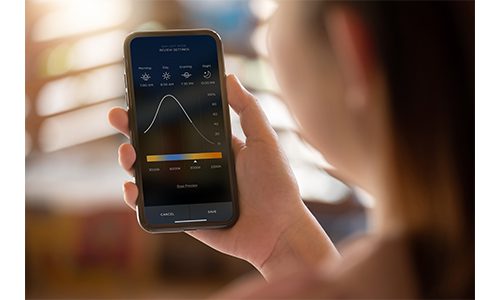 Savant Daylight Mode ISE 2022
