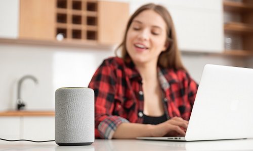 Smart Speaker Home Audio Popularity