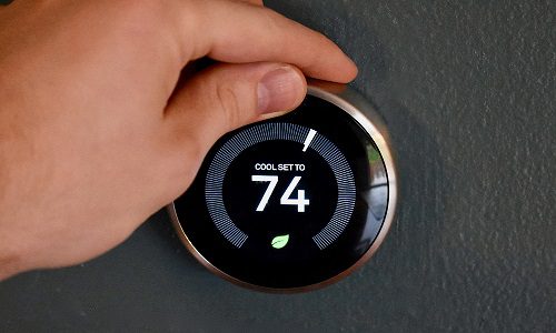 Google Nest Renew Home