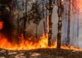 LA wildfire