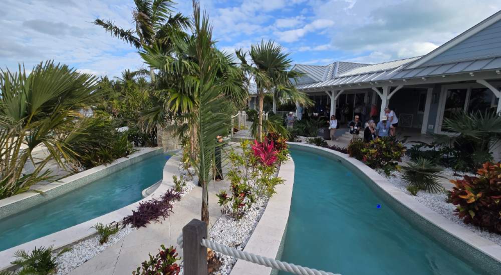 Coastal Source Palms in Paradise